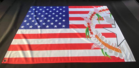 USA & CNMI Flag Combined